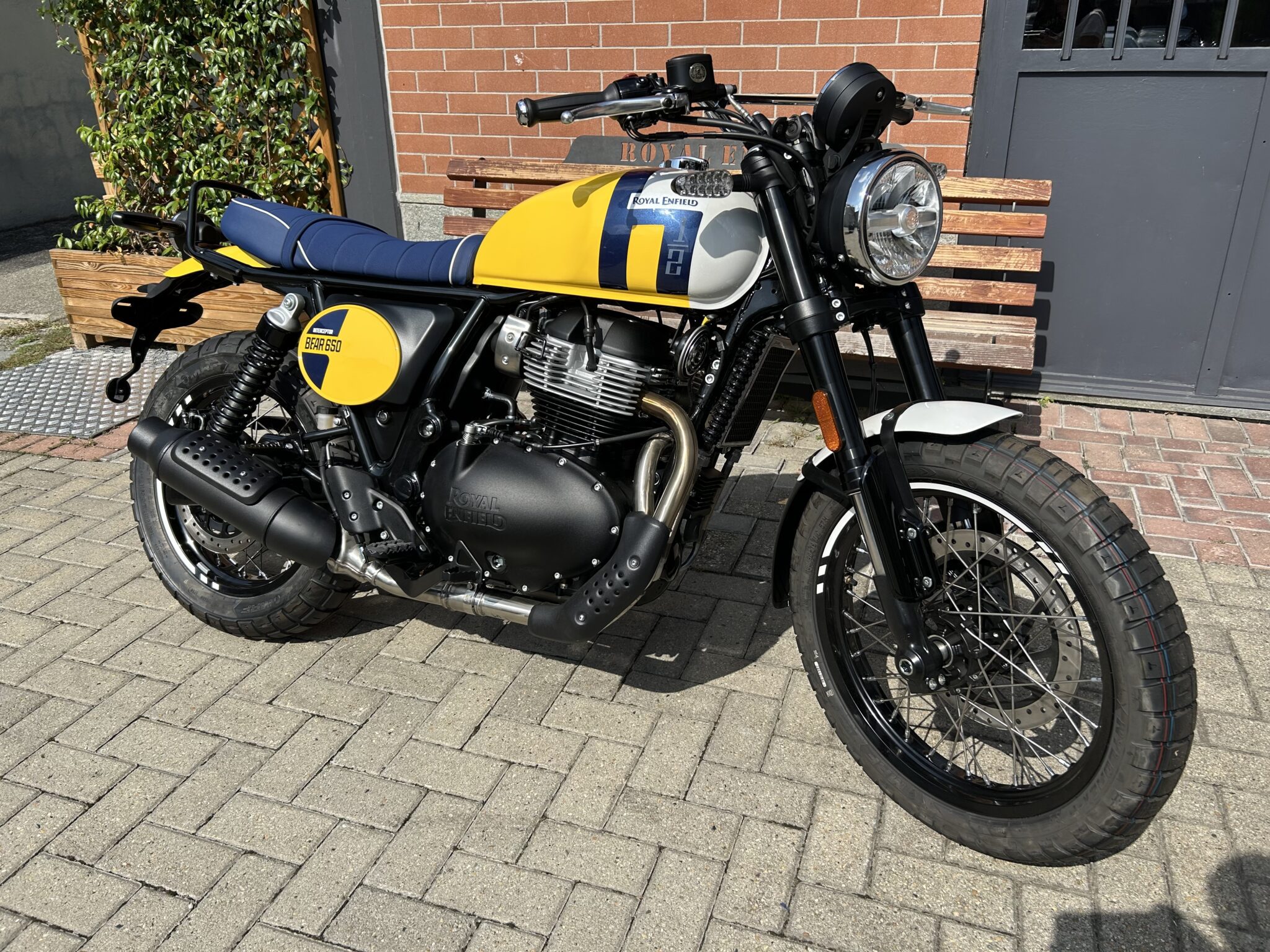 Royal Enfield Bear 650 Wild Honey | Royal Enfield Torino