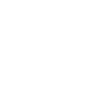 royal enfield torino logo